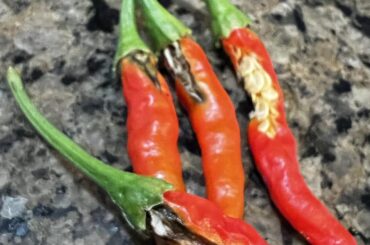 What’s going on with my peppers