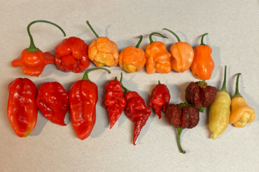 Need help identifying this grab bag.