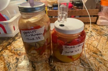 1.5 month fermented hot sauces