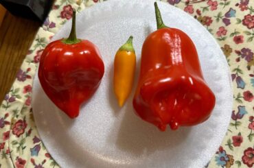 Help me out identifying. The markers washed off