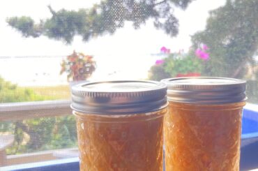 Took my sugar rush peach ferment mash on vacation