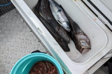 White fish & prawns/shrimp recipe inspiration. Help me with my recently caught seafood.