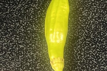 Can someone please help ID THIS pepper?