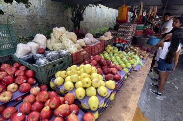 Produce from one of the tianguis in PVR, Mexico