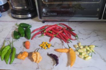 First haul of the summer