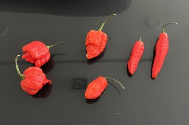 Help identifying peppers