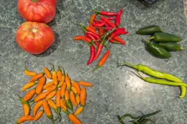 Help identify the yellow devils