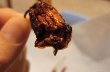 Why my habanero has turned black?