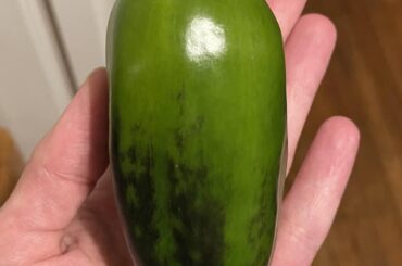 Can someone tell me what kind of pepper this is?