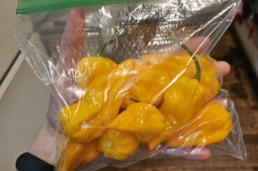 What could these be?