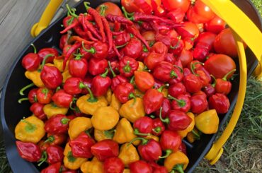 Well, this just happened