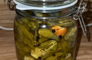 pickling habaneros i grew for homemade hot sauce