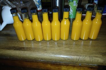 Made Mango Habanero hot sauce from my habanero crop this year.