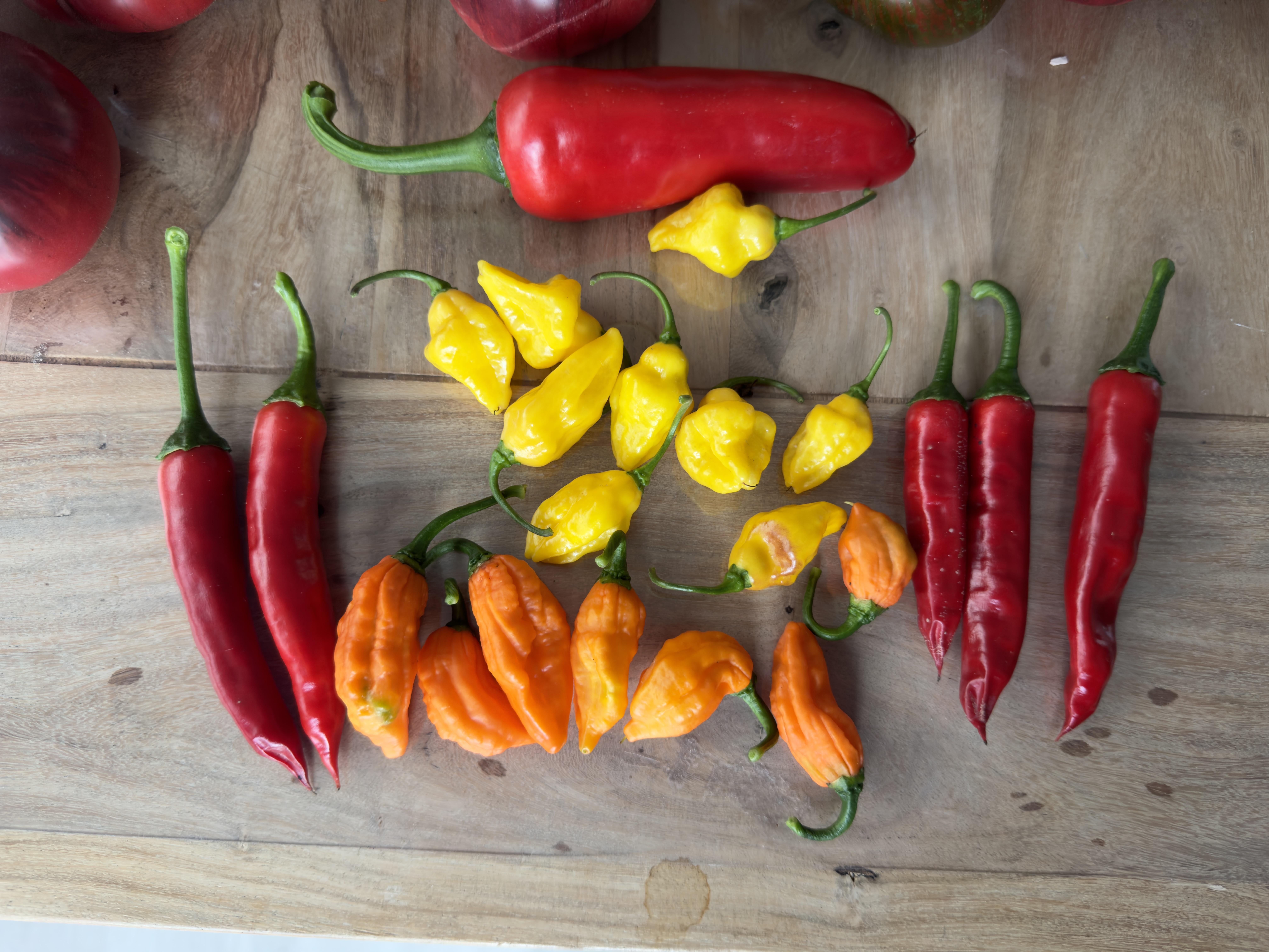 First little harvest.