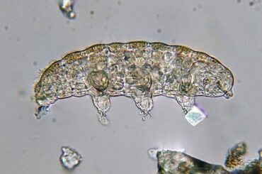 I'm not the only one that got ripped off here.