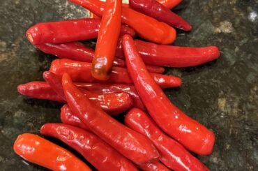 Ok, my turn: please help identify