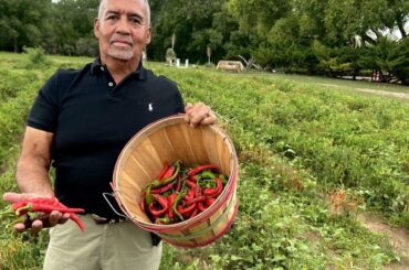 A rare treat getting rarer: Chimayo Red, New Mexico's 'holy chile'