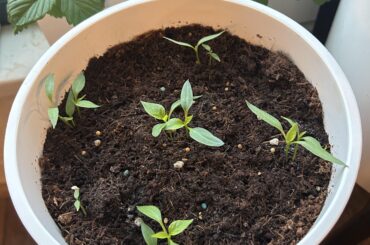 How/when to break these up