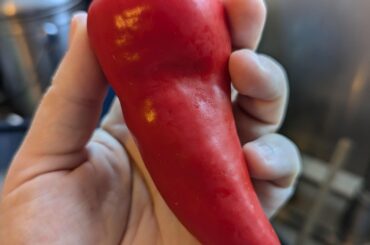 Tips on drying peppers?