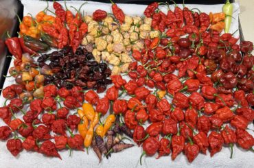 Garden in full production mode