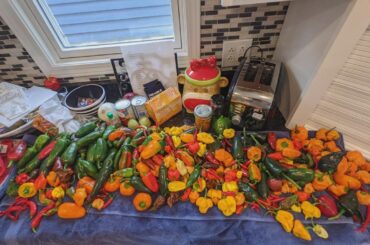 Let's try again. First decent haul of the season and some badass pods!