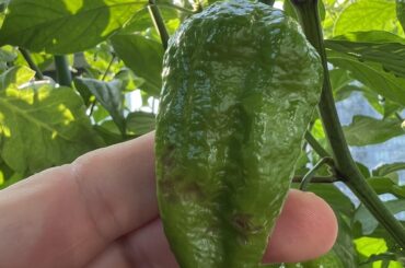 What’s causing this?