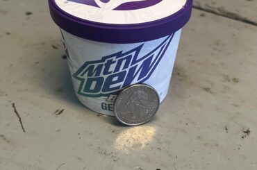 Came here to post about the gelato’s size and realized im not the first one lol. For $4 I was expecting a little more, it definitely looks bigger in pictures. Oh well, still cool