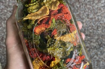 The first of many full jars of dried pods.