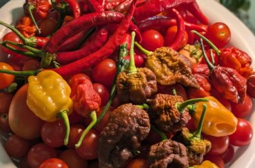 Garden is popping off