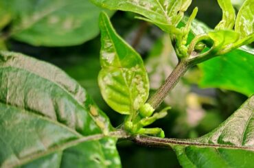 Whelp. What should I do now?