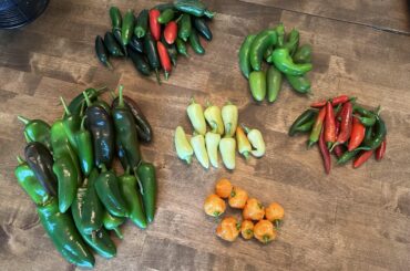 More pepper relish coming