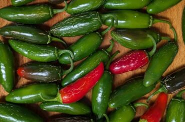 I pickled 60 jalapenos!