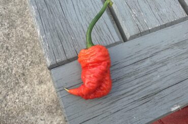 Correction First Death Spiral!