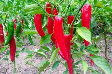 Feeling good about these