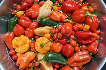 Coming in Hot and heavy