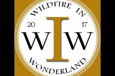 Sauce Review #94 (seauxs) Wildfire in Wonderland All Mad Here primotalii Hot Sauce Review