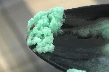 got a fly in my baja blast gelato