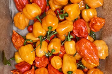 Harvest time in Toronto