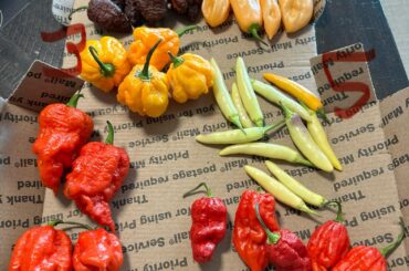 Test your pepper ID skills