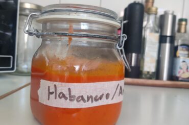 First try on fermented hot sauce!