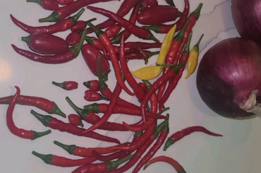 Todays harvest. 1lb.