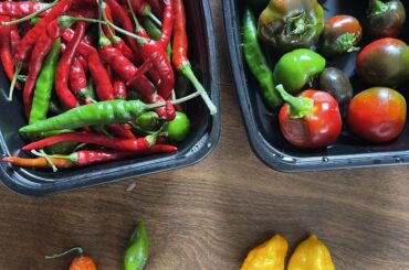 The goods are still coming