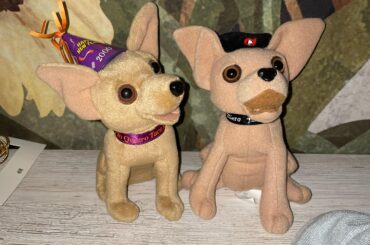 My collection is growing :,)