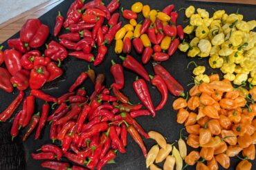 They're really starting to coming in now.