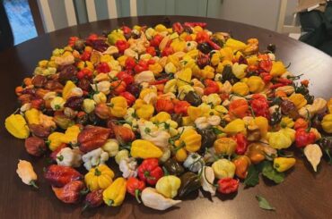 My kind of trick or treating