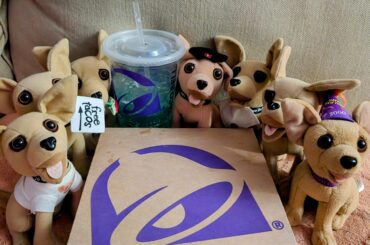 Who else remembers "Yo Quiero Taco Bell?"