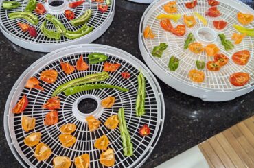 Dehydrating a few peppers today