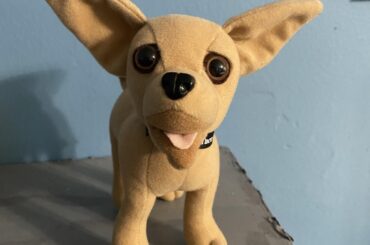 Found my old Taco Bell Dog doll