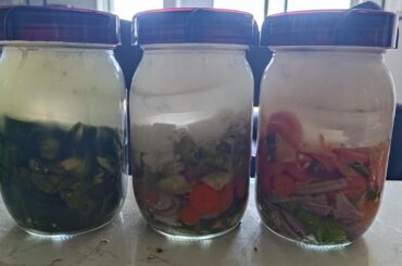 Day 5 fermenting... and I just keep getting hornier...