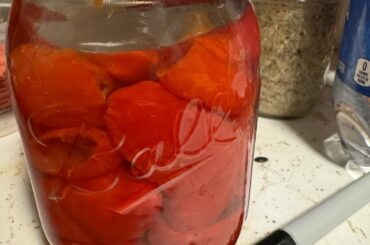 Pickled Peppadews